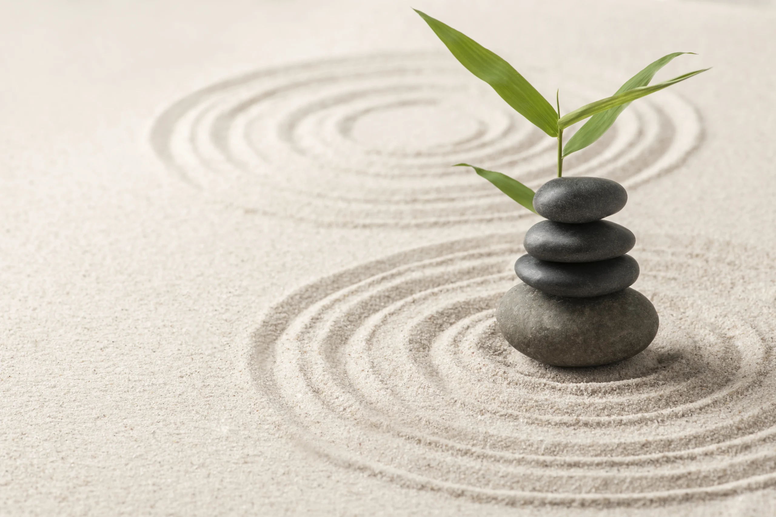 Fundamentos Zen Para Alcanzar El Bienestar